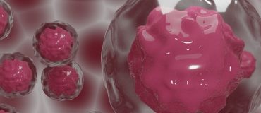 Blue Bees Therapeutics arme les malades contre le cancer