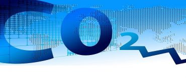 ClimateSeed : la compensation carbone bien au-delà du CO2