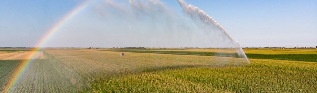 Raréfaction de l’eau l’été : évolution des pratiques et innovations en irrigation agricole - REPLAY