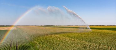 Raréfaction de l’eau l’été : évolution des pratiques et innovations en irrigation agricole - REPLAY