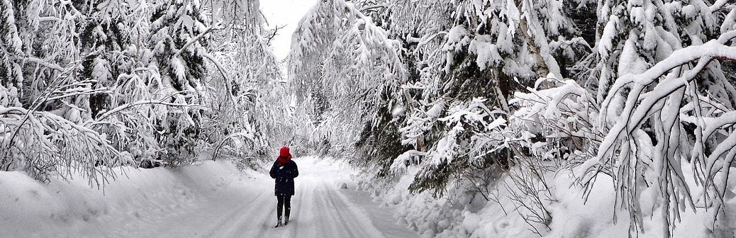 Un modèle pour prédire la mortalité liée aux températures extrêmes en Europe