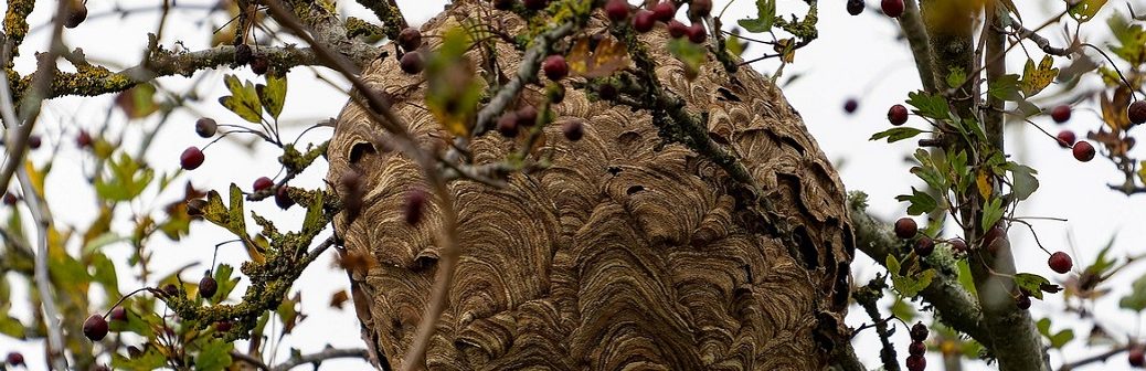 Intelligence artificielle