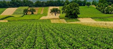 L’agritech, moteur de la troisième révolution agricole