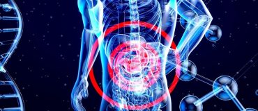 Lutter contre les inflammations de l'intestin avec l'aide des organoïdes