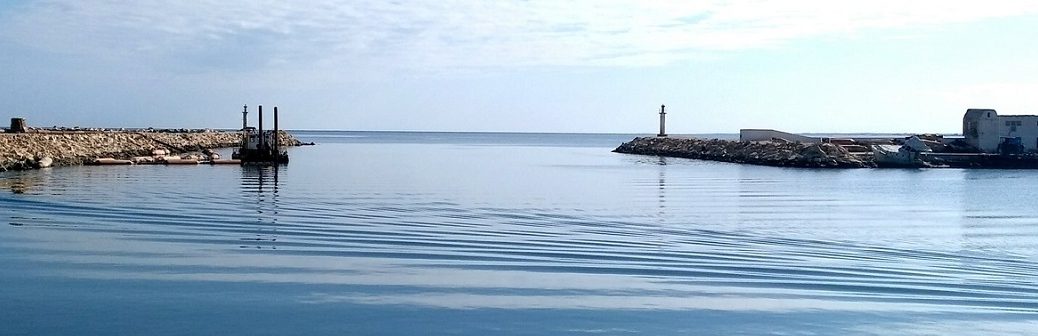 hydrogène vert, tunisie