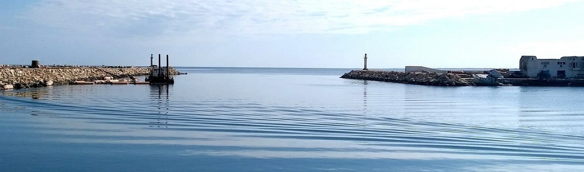 hydrogène vert, tunisie