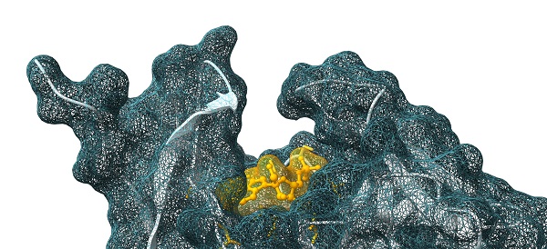 Simulation des interactions entre une molécule thérapeutique et sa cible