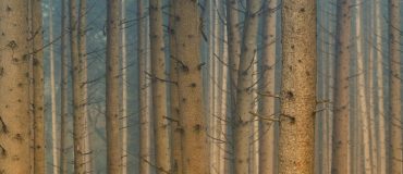 Produits biosourcés : entre promesse industrielle et défis systémiques