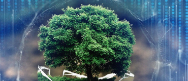 Les ressources, facteur limitant des transitions écologique et numérique