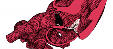 « Diffuser plus vite l’innovation médicale grâce au jumeau numérique »