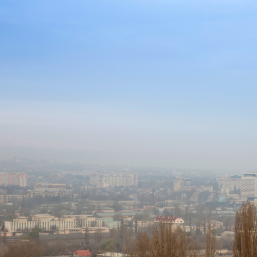 Qualité de l'air : un enjeu écologique et sanitaire