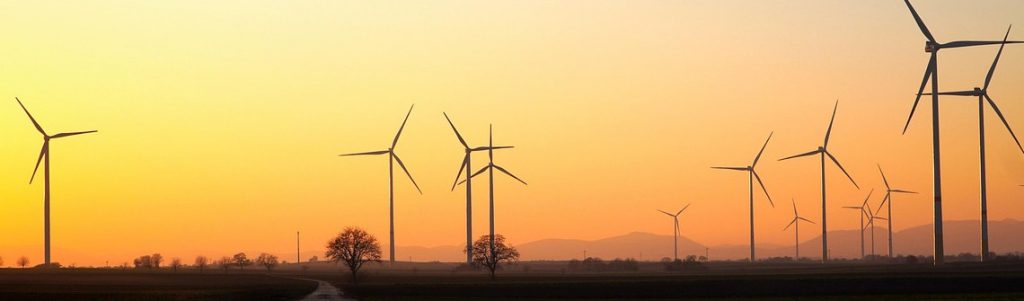 Hydrogène vert : la Cour des comptes critique sévèrement la stratégie française