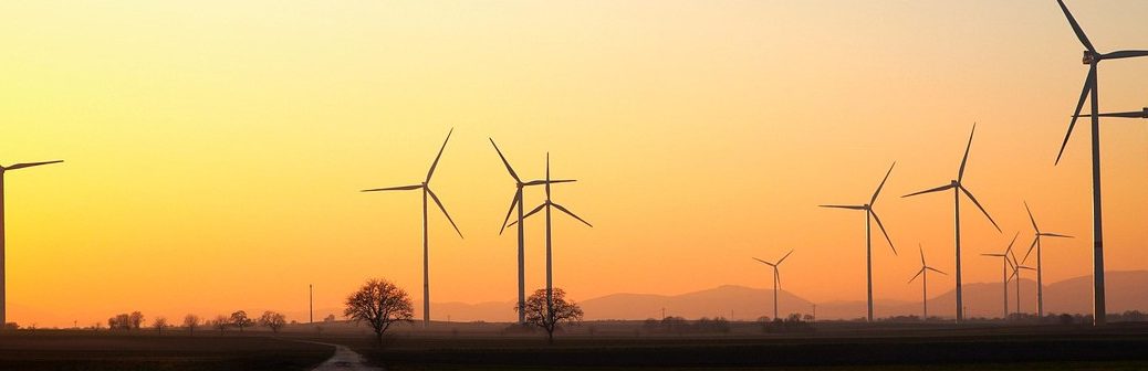 Hydrogène vert : la Cour des comptes critique sévèrement la stratégie française