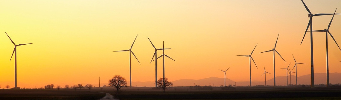 Hydrogène vert : la Cour des comptes critique sévèrement la stratégie française
