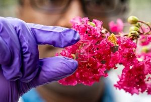 Ce revêtement permettrait une réduction des factures d'énergie, particulièrement en saison froide