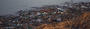 Le label Greentech Innovation décerné à Plastic Vortex