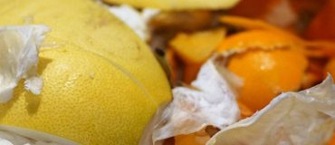 Des bactéries capables de transformer les déchets alimentaires en bioplastiques