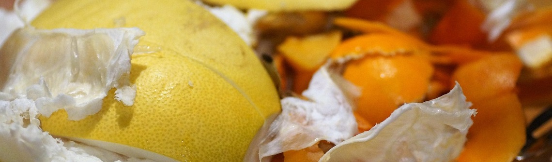 Des bactéries capables de transformer les déchets alimentaires en bioplastiques | Techniques de l'Ingénieur