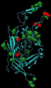Un programme visant à optimiser la conception des vecteurs AAV Un programme visant à optimiser la conception des vecteurs AAV
