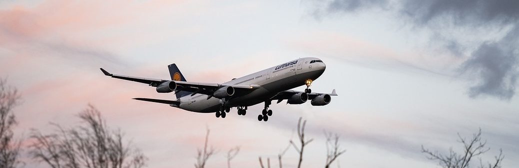 Un tandem bactérien inédit pour produire de l'heptane vert