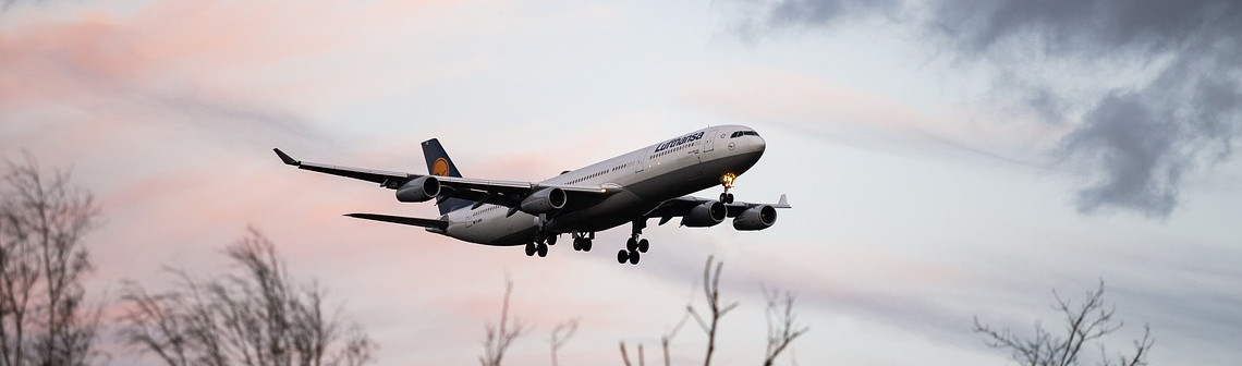 Un tandem bactérien inédit pour produire de l'heptane vert