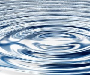 « L’eau du robinet reste l’aliment le plus contrôlé »