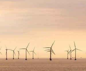 Éolien offshore : une étude alerte sur les émissions chimiques des parcs en mer