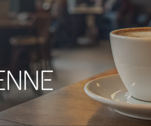 La quotidienne : revue de presse du 16 octobre 2025