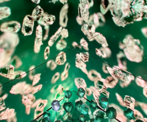 Des structures métallo-organiques aux applications multiples : le Nobel de chimie 2025 ouvre la voie à une chimie durable