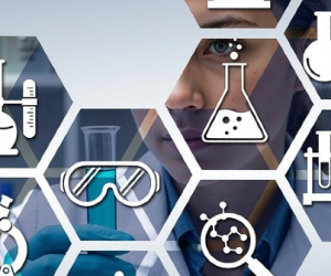 La semaine de remise des prix Nobel a commencé : le Nobel de médecine 2025 récompense trois pionniers de la tolérance immunitaire périphérique