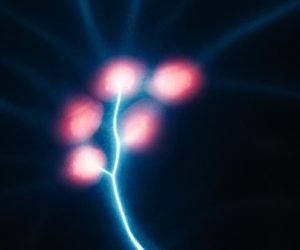 Isentroniq, la startup française qui veut démêler le nœud du quantique