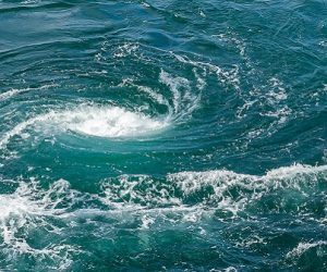 Julie Meunier : plonger dans les tourbillons océaniques pour mieux comprendre le climat