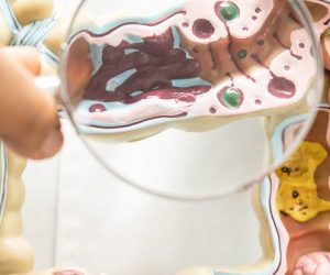 Traiter le prédiabète avec Nodia Metabolics