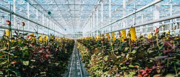 « Chaque filière industrielle doit trouver sa propre équation »