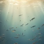 Phytoplancton en déclin : un signal alarmant pour la santé des océans