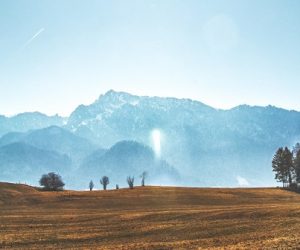 Captage et stockage du CO₂ : un enjeu clé de la transition énergétique