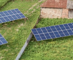 La canopée photovoltaïque, une innovation de TSE au service de la transition agricole