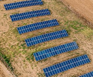 L’agrivoltaïsme : l’avenir du solaire en France