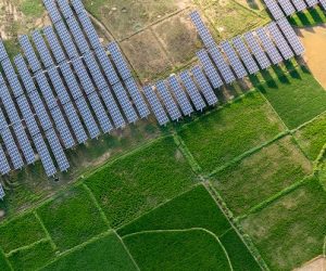 Les performances observées sous canopée agrivoltaïque renforcent l’idée d’un modèle agricole plus résilient