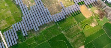 Les performances observées sous canopée agrivoltaïque renforcent l’idée d’un modèle agricole plus résilient