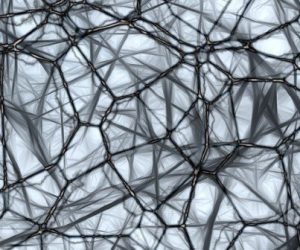 Neuralix : apprendre et gagner en compétences grâce aux neurosciences