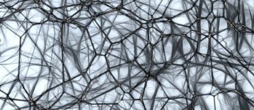 Neuralix : apprendre et gagner en compétences grâce aux neurosciences