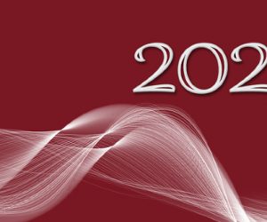 Le best of de vos contenus préférés en 2025 !