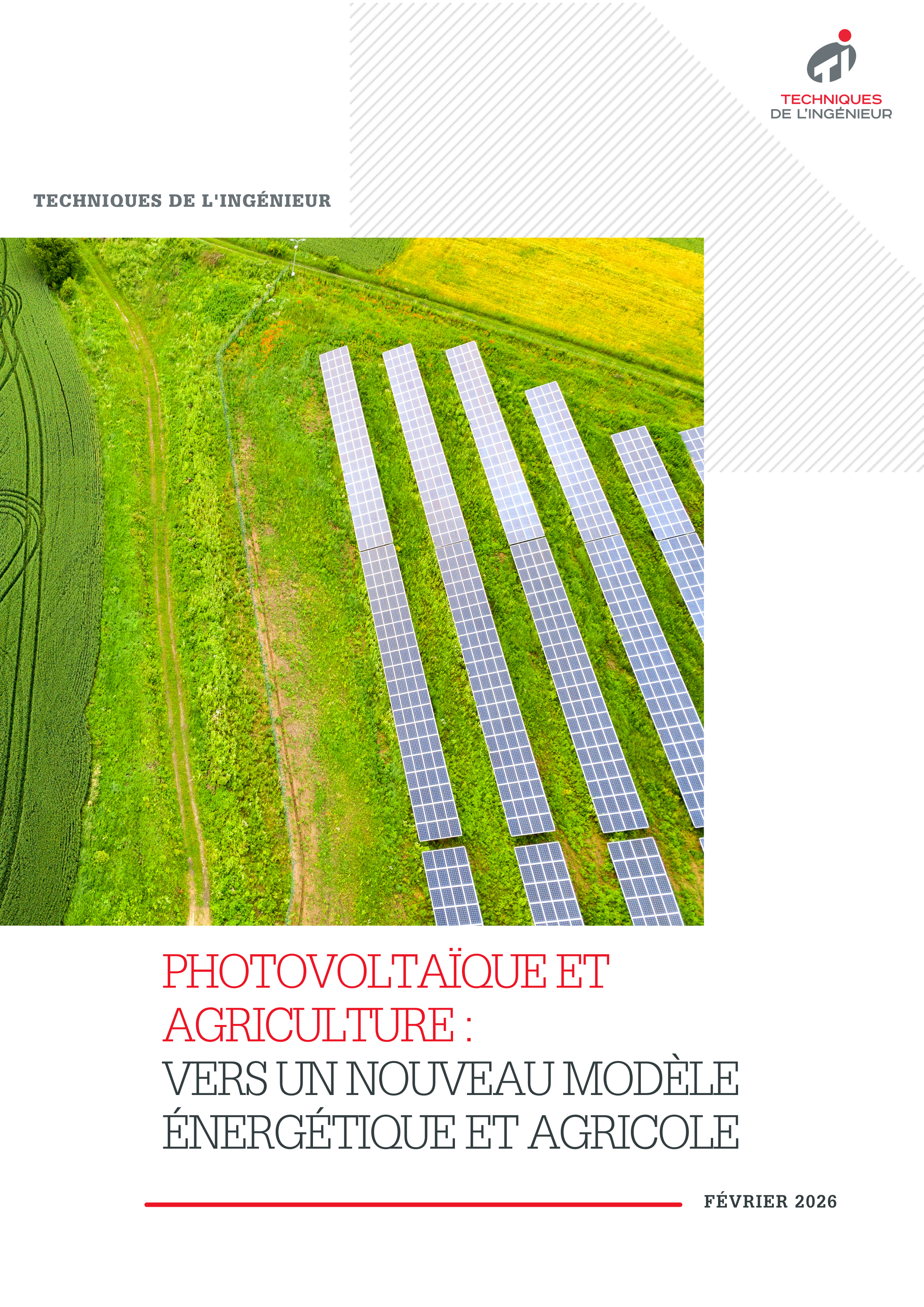 Photovoltaïque et agriculture : vers un nouveau modèle énergétique et agricole