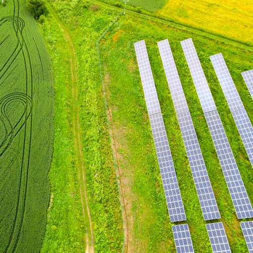 Photovoltaïque et agriculture : vers un nouveau modèle énergétique et agricole