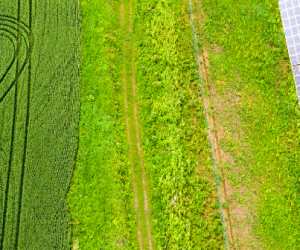 Photovoltaïque et agriculture : vers un nouveau modèle énergétique et agricole