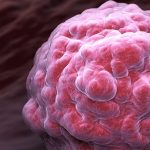 Marion Guérin : explorer les méandres de l’immunité pour mieux soigner les cancers