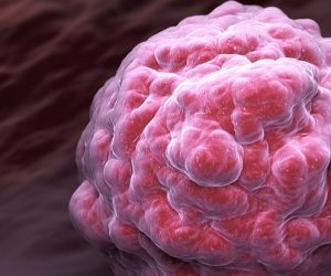 Marion Guérin : explorer les méandres de l’immunité pour mieux soigner les cancers