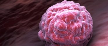 Marion Guérin : explorer les méandres de l’immunité pour mieux soigner les cancers