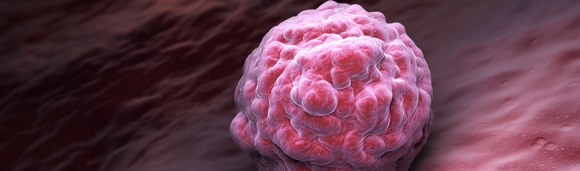 Marion Guérin : explorer les méandres de l’immunité pour mieux soigner les cancers